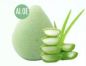 Preview: Konjac-Schwamm -Aloe Vera-