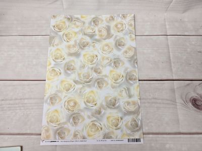 Motivpapier -weiße Rosen- DIN A4
