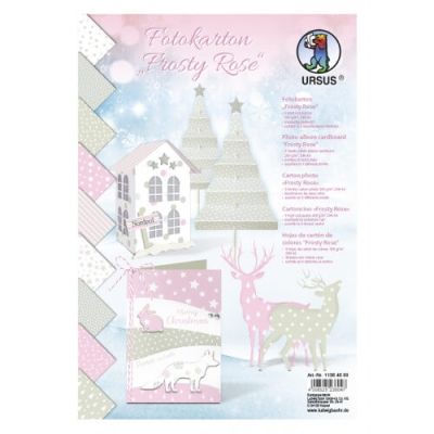 Fotokarton "Frosty Rose" Set DIN A4