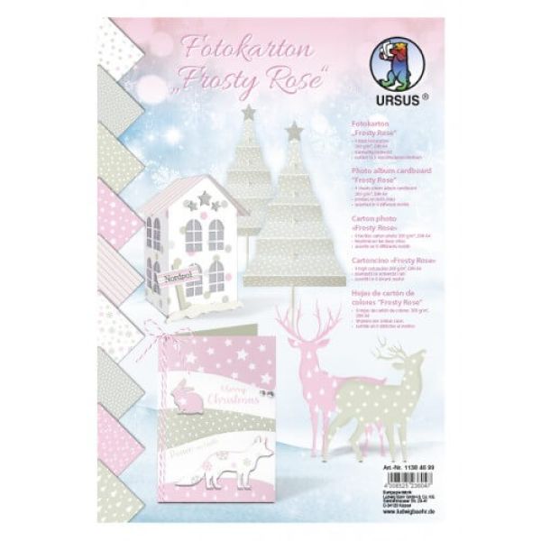 Fotokarton "Frosty Rose" Set DIN A4