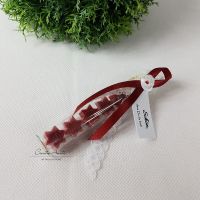 Gastgeschenk im Reagenzglas - 5 Seifensterne -WINTERZAUBER-