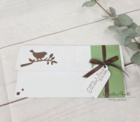 Gutschein- oder Geldgeschenkverpackung Grün-Weiß mit Vögelchen