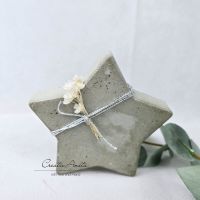 Stern aus Beton mit Trockenblumen und Silberkordel